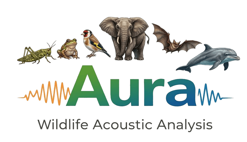 Illustration of six taxa AURA covers: grasshopper, frog, finch, elephant, bat and dolphin