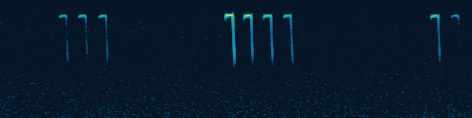 Spectrogram of Durga Das's leaf-nosed bat echolocation at 172 kilohertz