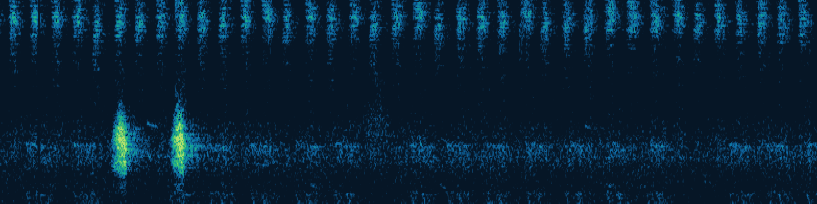 Spectrogram of a cricket's ultrasonic stridulation between 13 and 44 kilohertz