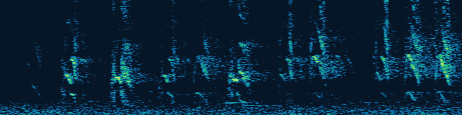 Spectrogram of rose-ringed parakeet flock calls